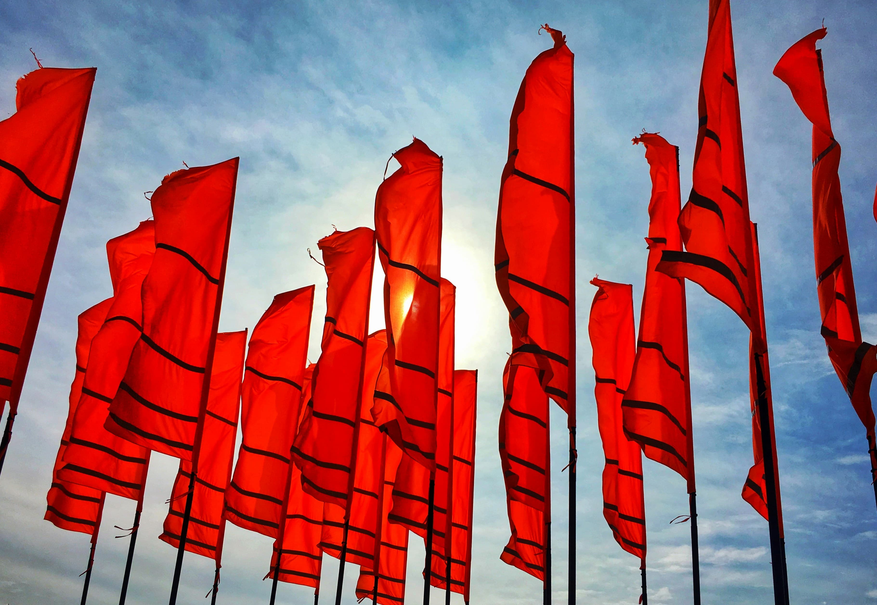 The Gut-Punch Guide to Knowing When to Kill Your Idea